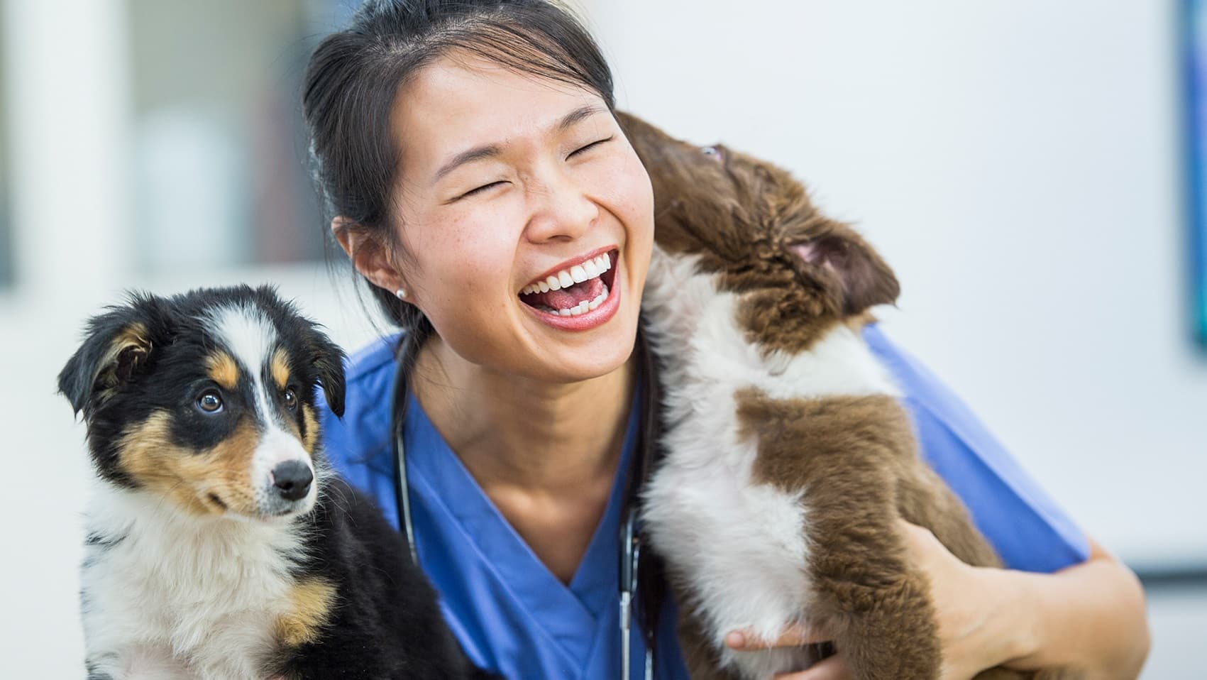 Placeholder for alt text