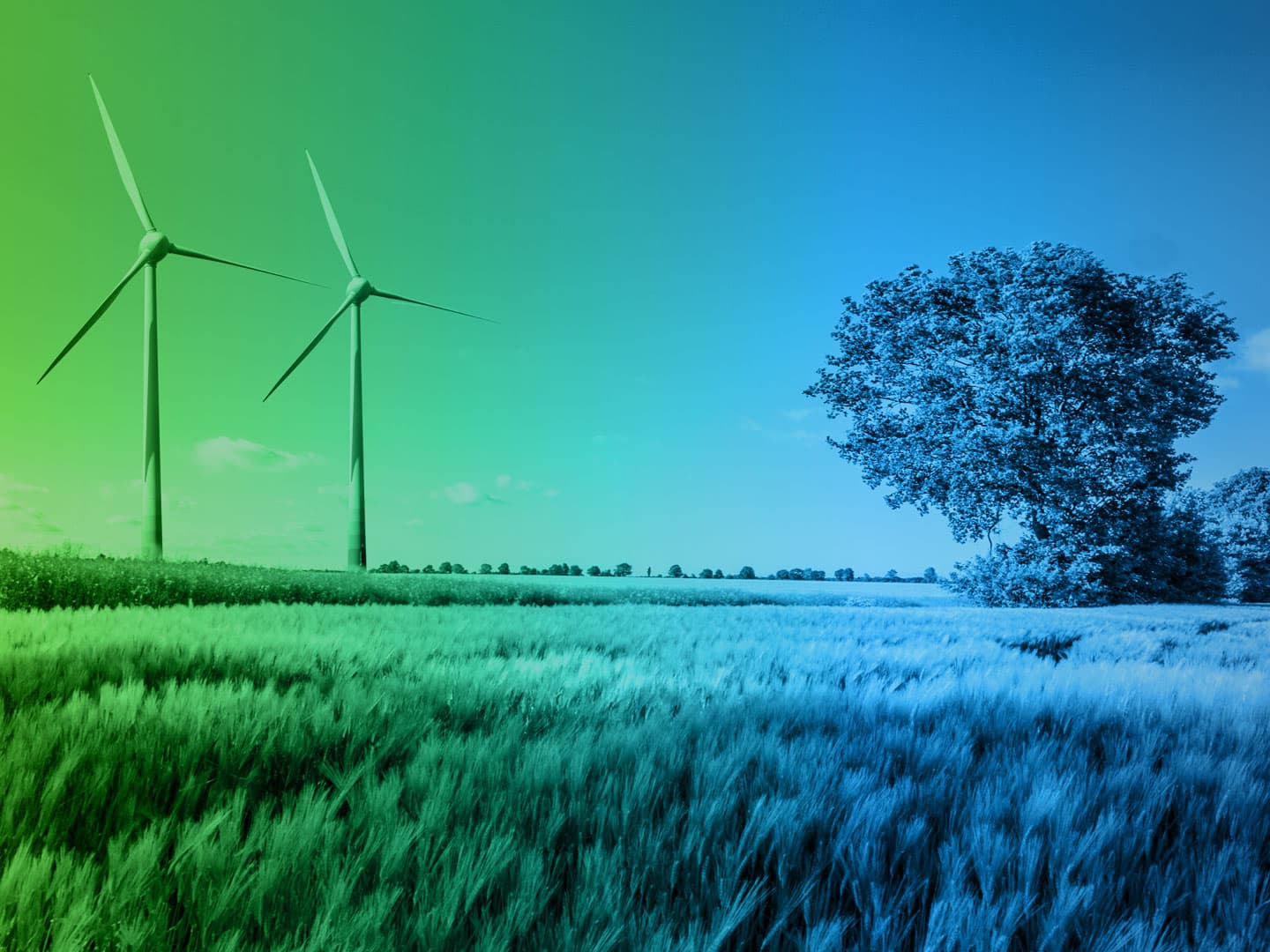 Nachhaltigkeit trifft auf Innovation bei MELAG